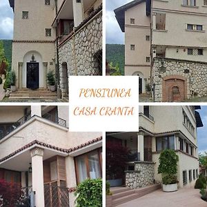 Casa Cranta